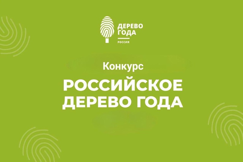 Конкурс «Российское дерево года».