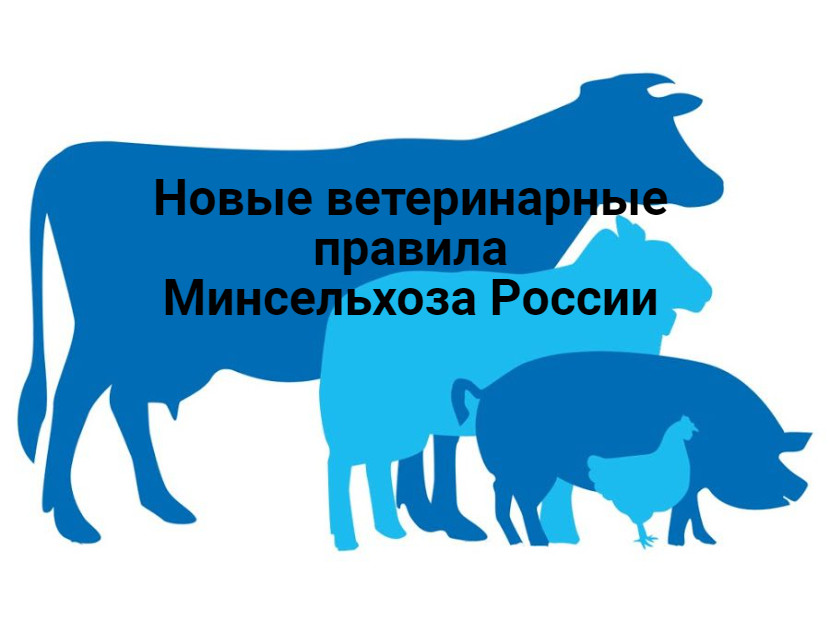 Приказ Минсельхоза России от 28.04.2022 N 269.